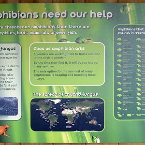 The Amphipod: endangered amphibians sign