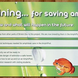 The Amphipod: staff training sign