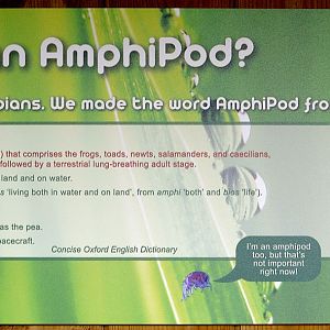 The Amphipod: explanatory sign