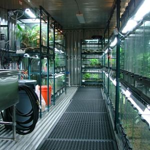 The inside of the frog Pod at Atlanta Botanic Gardens