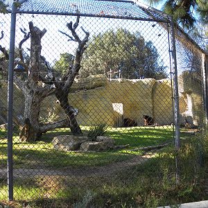 Orange County Zoo