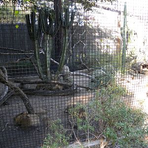 Orange County Zoo