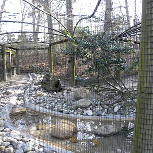 Salisbury Zoo