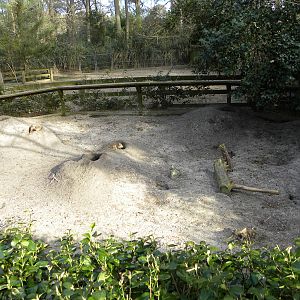Salisbury Zoo