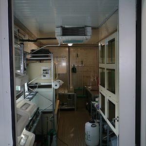 Inside one of the amphibian pods at Chester Zoo