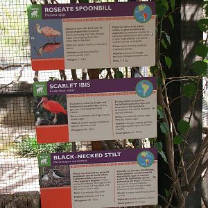 Aviary Signage