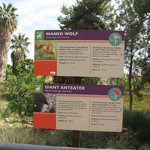 Maned Wolf/Giant Anteater Signage