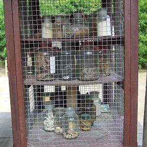 Tiger products, Tiger Creek