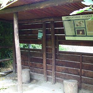 Tiger Creek, viewing point