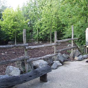 Red River Hog enclosure