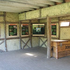 Gorilla viewing area, interior