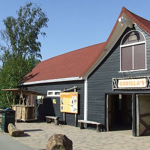 Gorilla viewing area