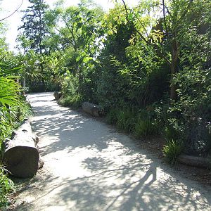 Path, Gorilla enclosure