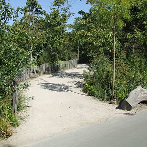 Path, Gorilla enclosure