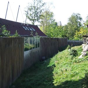 Dry ditch of Gorilla enclosure