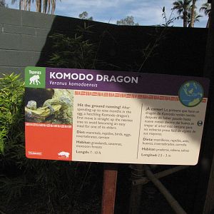 Komodo Dragon Signage
