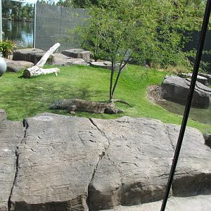 Land of the Dragons Viewing Window