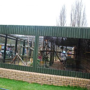 OCELOT ENCLOSURE