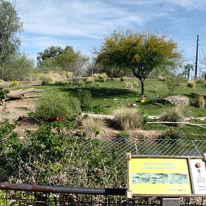 African Wild Dog Habitat