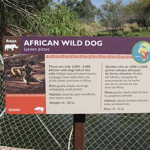 African Wild Dog Signage