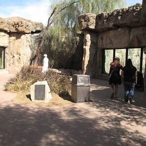 Hamadryas Baboon/Mandrill Viewing Windows