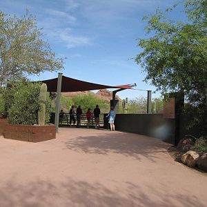 Coyote Habitat Viewing Area