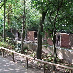 Malayan Tapir enclosure