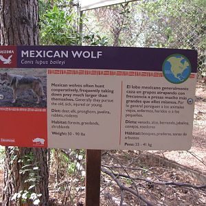 Mexican Wolf Signage