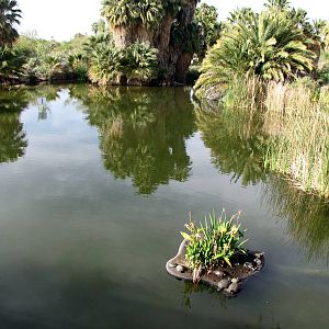 One of Two Large Lakes On Either Side of Entry Bridge