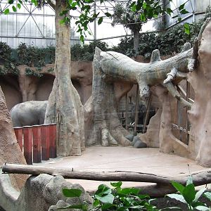 Asiatic Elephant indoor exhibit