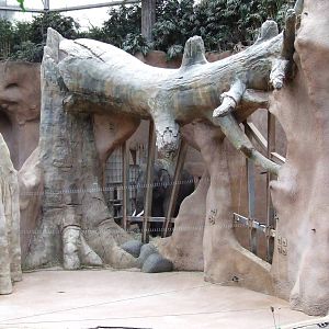 Asiatic Elephant indoor exhibit