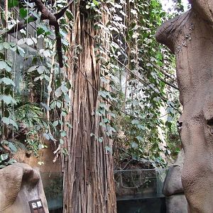 Aquarium, Taman Indah