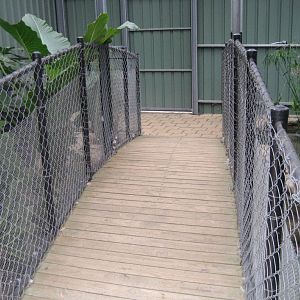 Bridge over the Freshwater Crocodile enclosure