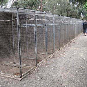 Row of parrot aviaries
