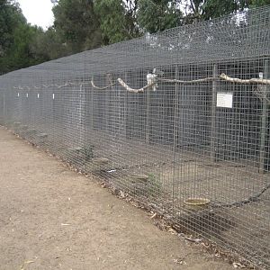 Row of Raptor aviaries