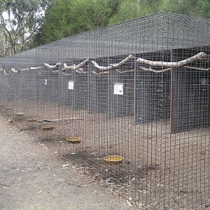 Row of cockatoo aviaries