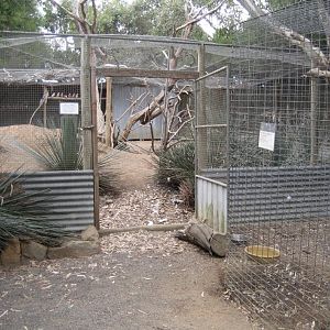 Brush Turkey Aviary