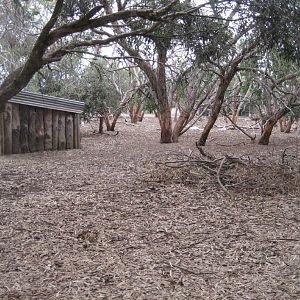 Emu and Kangaroo enclosure