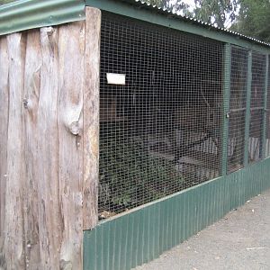Potoroo enclosure