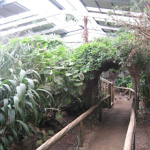 Interior of Walkthrough Aviary