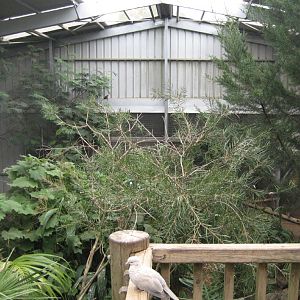 Interior of Walkthrough Aviary