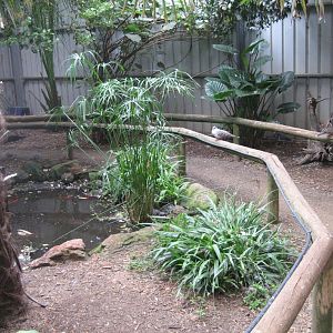 Interior of Walkthrough Aviary