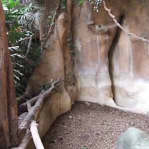 Malayan Tapir indoor exhibit