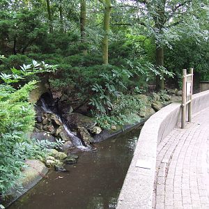 European Otter enclosure
