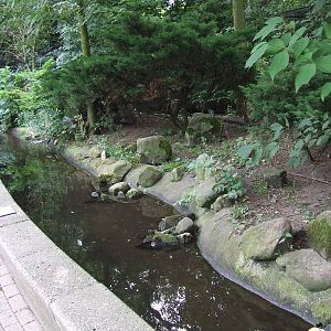 European Otter enclosure