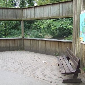 Wolf viewing, Wolf Valley