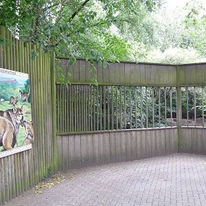 Wolf viewing, Wolf Valley