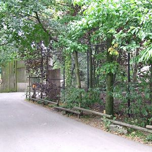 Wolf exhibit, Wolf Valley