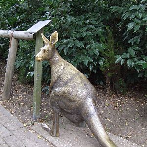 Kangaroo statue