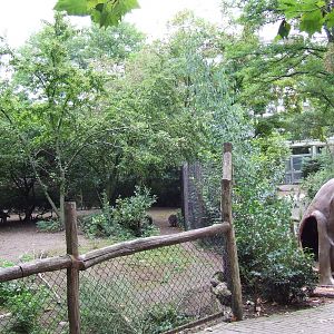 Red-necked Wallaby enclosure